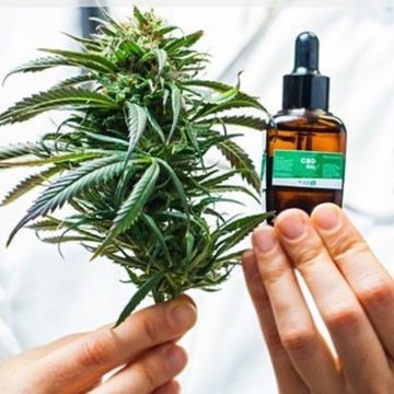 Free Chapter: The Cannamanual